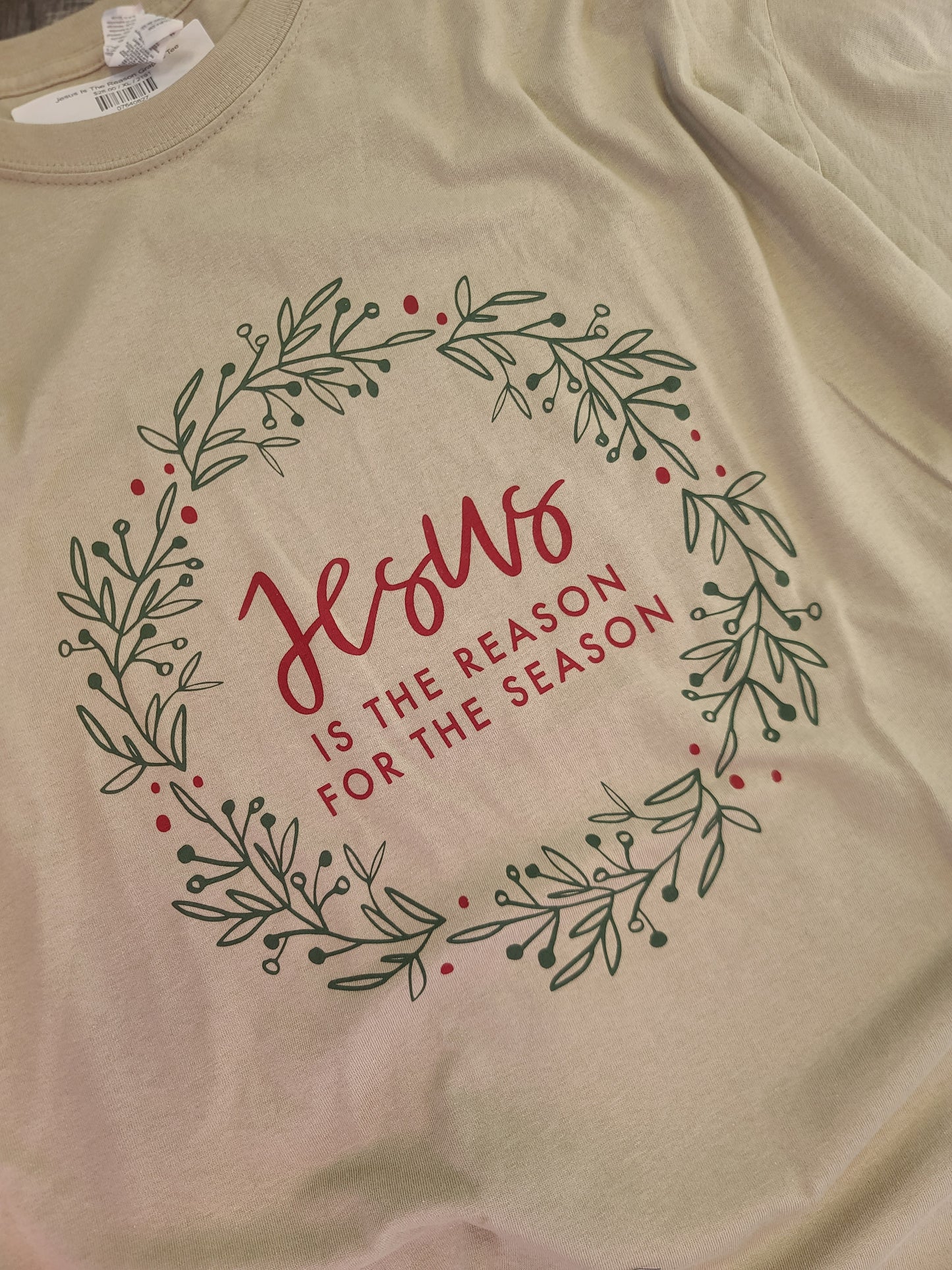 Jesus Is The Reason Graphic Tee