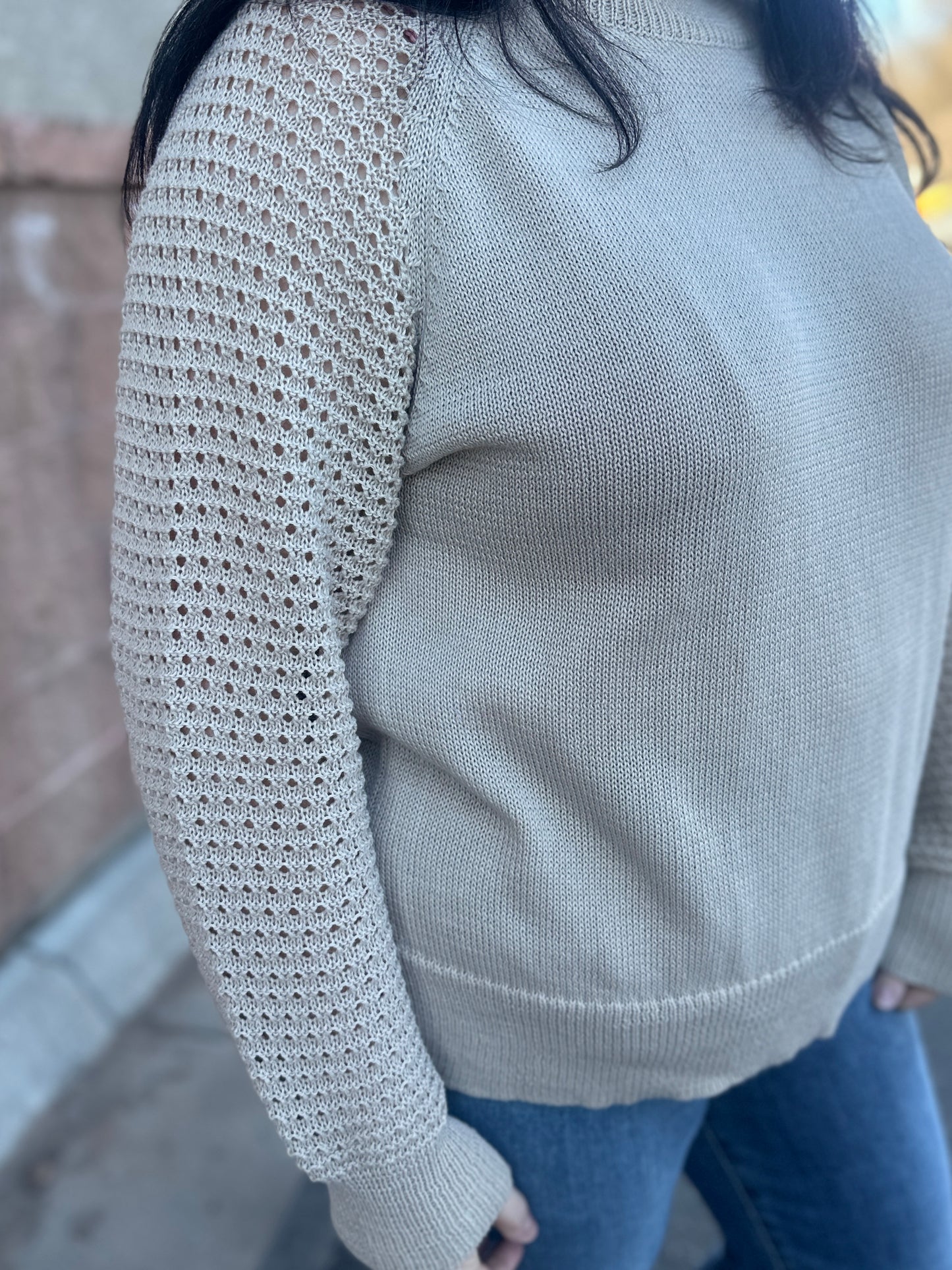 Open Knit Sleeve Top