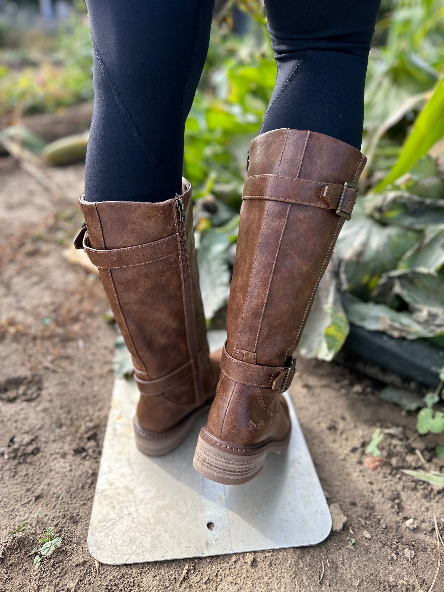 Brown Vanitee Tall Boot