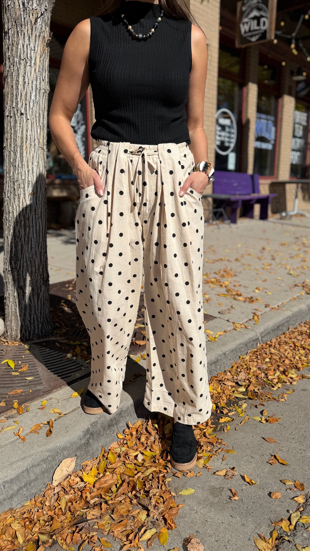 Polka Dot Pleated Pants