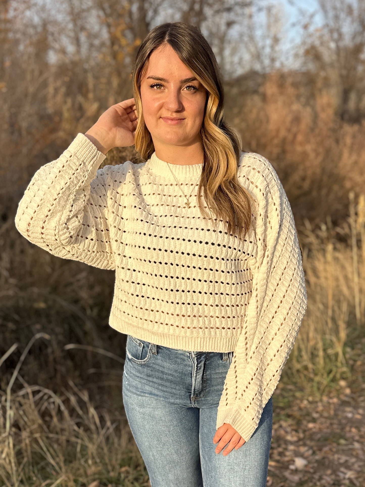 Cream Cropped Pointelle Sweater