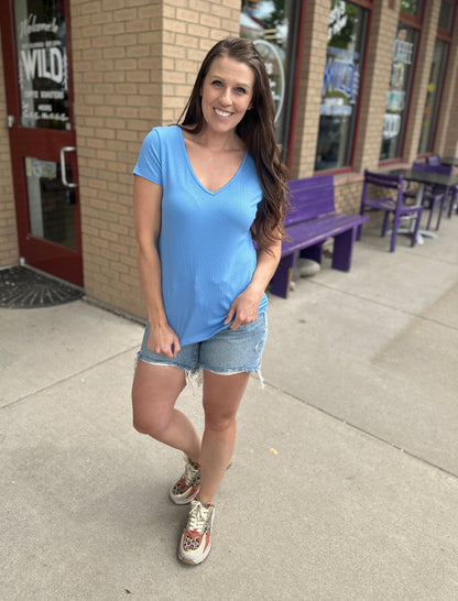 Hold Tight Ribbed V-Neck Short Sleeve