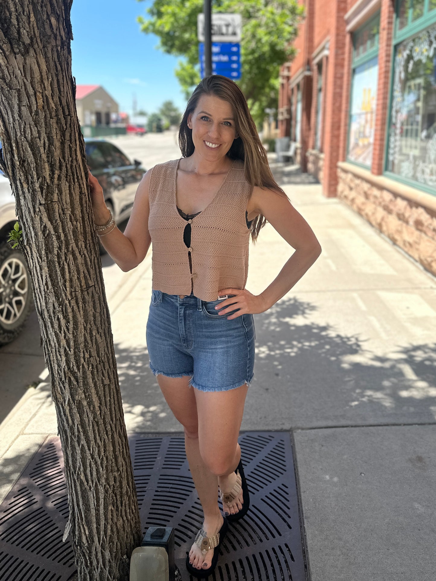 Knit Button Up Vest