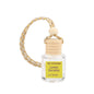 Hanging Car Diffuser