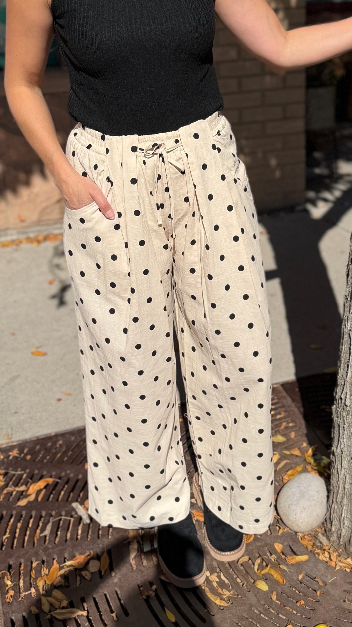 Polka Dot Pleated Pants