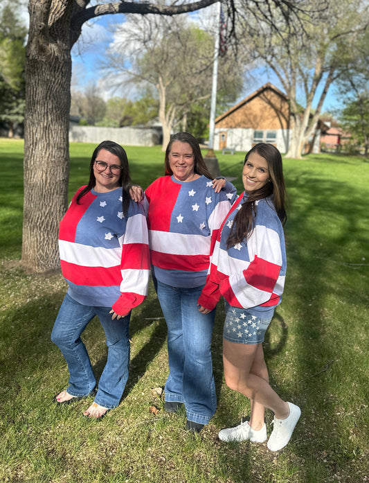 Mineral Wash Americana Sweatshirt