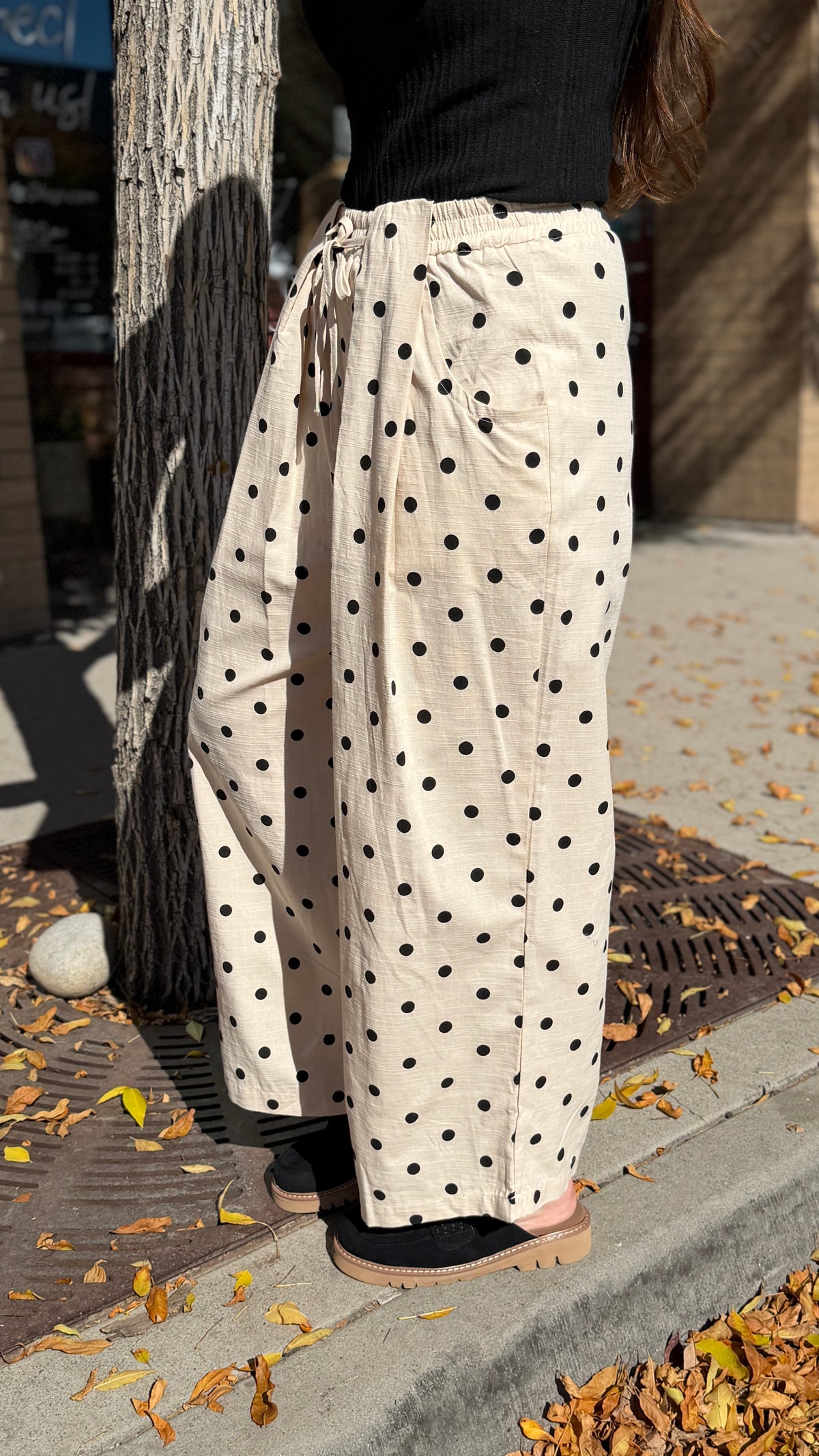Polka Dot Pleated Pants