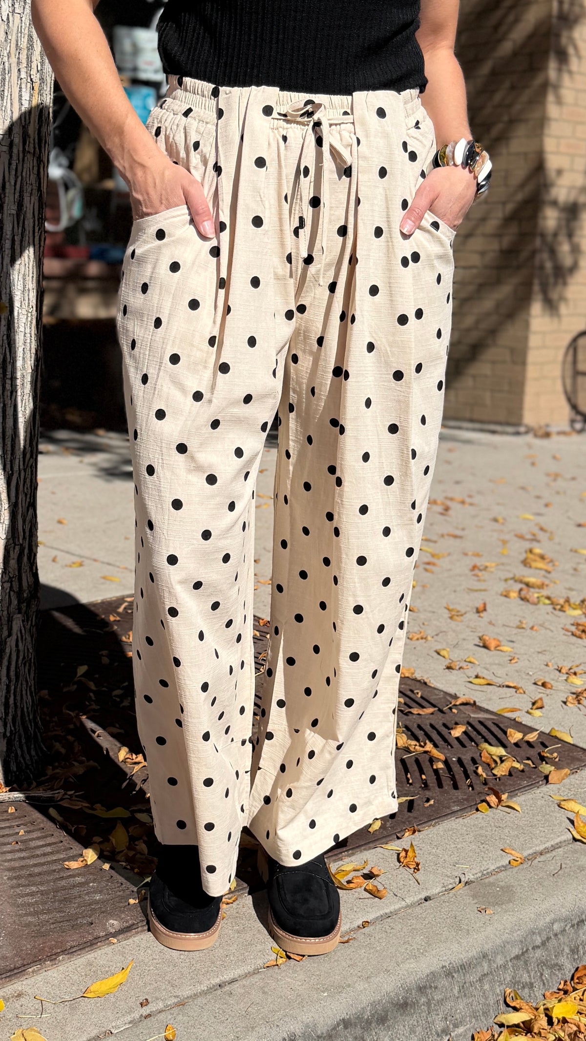 Polka Dot Pleated Pants