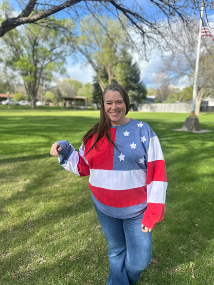 Mineral Wash Americana Sweatshirt
