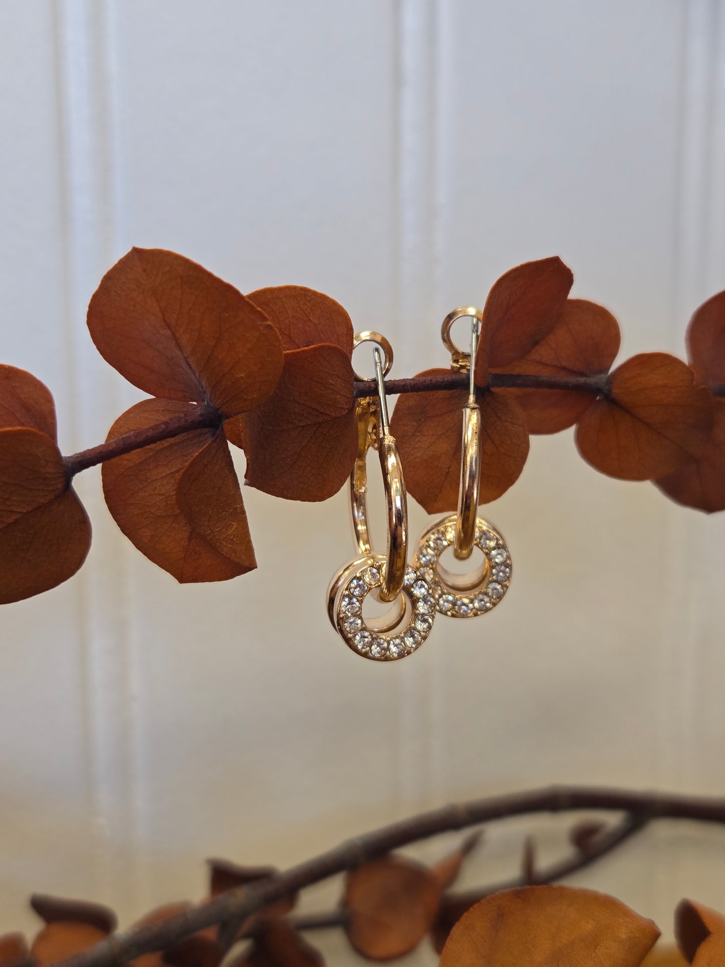 Gold Hoop With Rhinestone Hoop Accent Earring